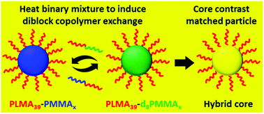 Graphical abstract: Time-resolved small-angle neutron scattering studies of the thermally-induced exchange of copolymer chains between spherical diblock copolymer nanoparticles prepared via polymerization-induced self-assembly