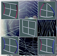 Graphical abstract: Shape-morphing architectures actuated by Janus fibers