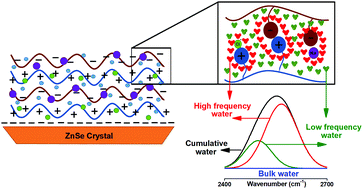 Graphical abstract: Fourier transform infrared spectroscopy investigation of water microenvironments in polyelectrolyte multilayers at varying temperatures