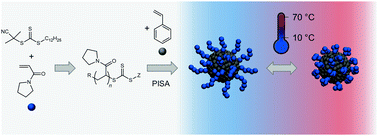 Graphical abstract: An eco-friendly pathway to thermosensitive micellar nanoobjects via photoRAFT PISA: the full guide to poly(N-acryloylpyrrolidin)-block-polystyrene diblock copolymers