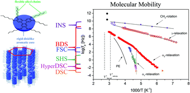 Graphical abstract: Complex molecular dynamics of a symmetric model discotic liquid crystal revealed by broadband dielectric, thermal and neutron spectroscopy