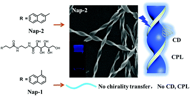 Graphical abstract: Self-assembly of isomeric naphthalene appended glucono derivatives: nanofibers and nanotwists with circularly polarized luminescence emission
