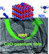 Graphical abstract: Efficient electrocatalytic N2 reduction on CoO quantum dots