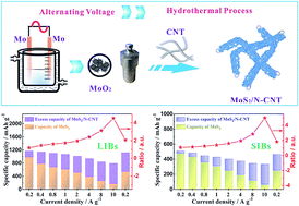 Graphical abstract: Binding low crystalline MoS2 nanoflakes on nitrogen-doped carbon nanotube: towards high-rate lithium and sodium storage