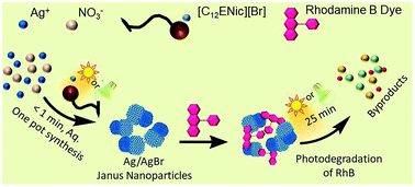 Graphical abstract: A new sustainable approach towards preparation of sunlight active Ag/AgBr Janus nanoparticles using non-toxic surface active ionic liquid