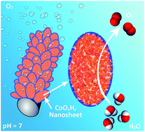 Graphical abstract: Cobalt (oxy)hydroxide nanosheet arrays with exceptional porosity and rich defects as a highly efficient oxygen evolution electrocatalyst under neutral conditions