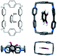 Graphical abstract: Host–guest interactions of catechol and 4-ethylcatechol with surface-immobilized blue-box molecules