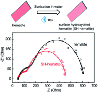Graphical abstract: Surface hydroxylated hematite promotes photoinduced hole transfer for water oxidation