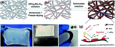 Graphical abstract: Necklace-like MoC sulfiphilic sites embedded in interconnected carbon networks for Li–S batteries with high sulfur loading