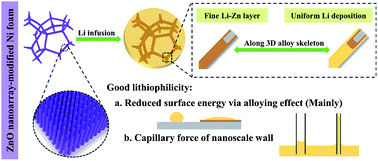 Graphical abstract: ZnO nanoarray-modified nickel foam as a lithiophilic skeleton to regulate lithium deposition for lithium-metal batteries