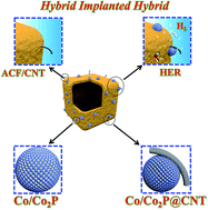 Graphical abstract: Hybrid implanted hybrid hollow nanocube electrocatalyst facilitates efficient hydrogen evolution activity