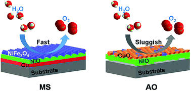 Graphical abstract: Nickel based oxide film formed in molten salts for efficient electrocatalytic oxygen evolution
