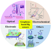 Graphical abstract: Recent advances in sensitive and rapid mercury determination with graphene-based sensors