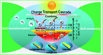 Graphical abstract: Cascade charge transfer mediated by in situ interface modulation toward solar hydrogen production