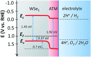 Graphical abstract: Efficient charge transfer at a homogeneously distributed (NH4)2Mo3S13/WSe2 heterojunction for solar hydrogen evolution