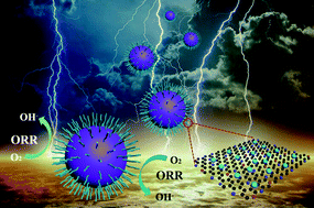 Graphical abstract: Metallic cobalt nanoparticles embedded in sulfur and nitrogen co-doped rambutan-like nanocarbons for the oxygen reduction reaction under both acidic and alkaline conditions