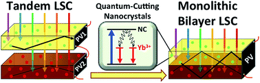 Graphical abstract: Quantum-cutting Yb3+-doped perovskite nanocrystals for monolithic bilayer luminescent solar concentrators
