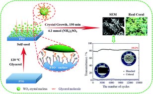 Graphical abstract: Directly grown high-performance WO3 films by a novel one-step hydrothermal method with significantly improved stability for electrochromic applications