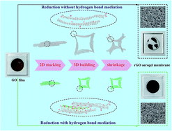 Graphical abstract: Reduced graphene oxide aerogel membranes fabricated through hydrogen bond mediation for highly efficient oil/water separation