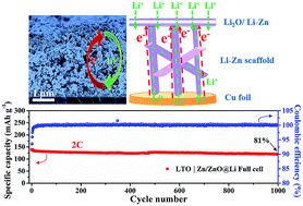 Graphical abstract: Electrochemically induced highly ion conductive porous scaffolds to stabilize lithium deposition for lithium metal anodes