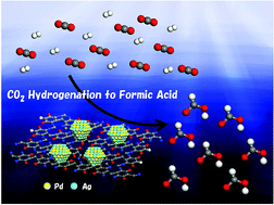 Graphical abstract: PdAg nanoparticles supported on resorcinol-formaldehyde polymers containing amine groups: the promotional effect of phenylamine moieties on CO2 transformation to formic acid