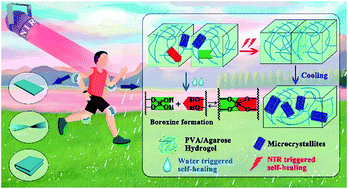 Graphical abstract: Highly efficient self-healable and dual responsive hydrogel-based deformable triboelectric nanogenerators for wearable electronics