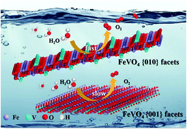 Graphical abstract: Engineering the surface atomic structure of FeVO4 nanocrystals for use as highly active and stable electrocatalysts for oxygen evolution