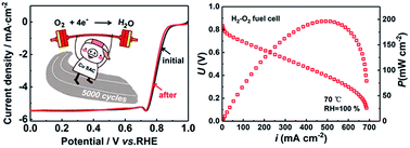 Graphical abstract: A copper single-atom catalyst towards efficient and durable oxygen reduction for fuel cells