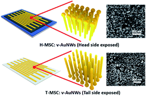 Graphical abstract: A Janus gold nanowire electrode for stretchable micro-supercapacitors with distinct capacitances