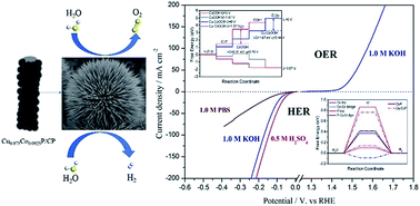 Graphical abstract: Chestnut-like copper cobalt phosphide catalyst for all-pH hydrogen evolution reaction and alkaline water electrolysis