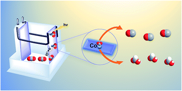 Graphical abstract: Carbon dioxide photo/electroreduction with cobalt
