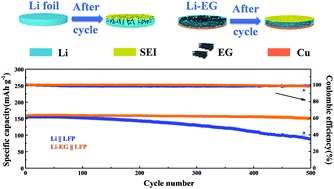 Graphical abstract: Expanded-graphite embedded in lithium metal as dendrite-free anode of lithium metal batteries