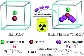 Graphical abstract: IL-induced formation of dynamic complex iodide anions in IL@MOF composites for efficient iodine capture