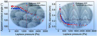 Graphical abstract: Extremely high Cassie–Baxter state stability of superhydrophobic surfaces via precisely tunable dual-scale and triple-scale micro–nano structures