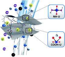 Graphical abstract: Graphene oxide based dopamine mussel-like cross-linked polyethylene imine nanocomposite coating with enhanced hexavalent uranium adsorption