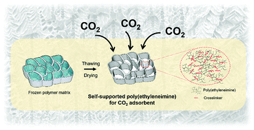 Graphical abstract: Self-supported branched poly(ethyleneimine) materials for CO2 adsorption from simulated flue gas