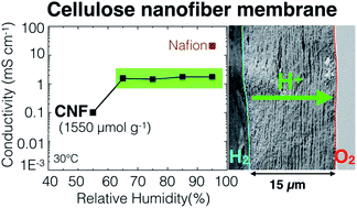 Graphical abstract: Highly proton conductive membranes based on carboxylated cellulose nanofibres and their performance in proton exchange membrane fuel cells