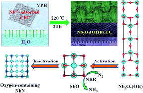 Graphical abstract: Experimental and theoretical understanding on electrochemical activation and inactivation processes of Nb3O7(OH) for ambient electrosynthesis of NH3
