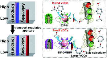 Graphical abstract: Gas transport regulation in a MO/MOF interface for enhanced selective gas detection