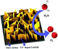Graphical abstract: Ca2+-doped ultrathin cobalt hydroxyl oxides derived from coordination polymers as efficient electrocatalysts for the oxidation of water