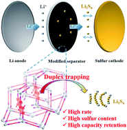 Graphical abstract: Duplex trapping and charge transfer with polysulfides by a diketopyrrolopyrrole-based organic framework for high-performance lithium–sulfur batteries