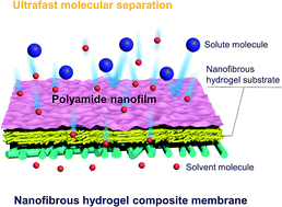Graphical abstract: Nanofibrous hydrogel composite membranes with ultrafast transport performance for molecular separation in organic solvents