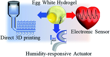 Graphical abstract: Hydrogels from natural egg white with extraordinary stretchability, direct-writing 3D printability and self-healing for fabrication of electronic sensors and actuators
