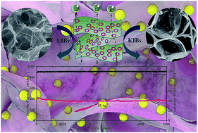 Graphical abstract: A synergetic strategy for an advanced electrode with Fe3O4 embedded in a 3D N-doped porous graphene framework and a strong adhesive binder for lithium/potassium ion batteries with an ultralong cycle lifespan