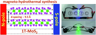 Graphical abstract: Unveiling highly ambient-stable multilayered 1T-MoS2 towards all-solid-state flexible supercapacitors