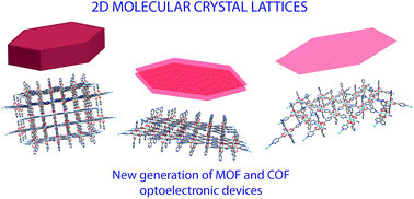 Graphical abstract: 2D molecular crystal lattices: advances in their synthesis, characterization, and application