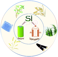 Graphical abstract: Si-based materials derived from biomass: synthesis and applications in electrochemical energy storage