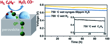 Graphical abstract: Novel carbon and sulfur-tolerant anode material FeNi3@PrBa(Fe,Ni)1.9Mo0.1O5+δ for intermediate temperature solid oxide fuel cells