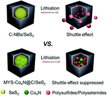 Graphical abstract: Chelation-assisted formation of multi-yolk–shell Co4N@carbon nanoboxes for self-discharge-suppressed high-performance Li–SeS2 batteries