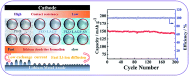Graphical abstract: A solid-state dendrite-free lithium-metal battery with improved electrode interphase and ion conductivity enhanced by a bifunctional solid plasticizer